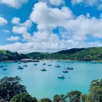 Waiheke Island:  a True Island Paradise